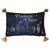Harry Potter Potions Class velvet cushion