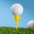 Kikkerland - Trophy Golf Tee - 3 inches tall, 1 inch wide, 0.5 inches deep / Sport and Outdoor
