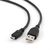 Gembird CCP-mUSB2-AMBM-6 USB cable 1.8 m USB 2.0 USB A Micro-USB B Black | Techbox