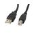 Lanberg CA-USBA-11CC-0030-BK USB cable 3 m USB 2.0 USB B Black - USB Cables - Cables & Adapters - Techbox