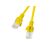 PATCHCORD KAT.6 UTP 0.5M ŻÓŁTY FLUKE PASSED LANBERG 10-PACK - Network & Phone Cables - Cables & Adapters - Techbox