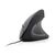 Gembird MUS-ERGO-01 mouse Right-hand USB Type-A Optical 3200 DPI | Techbox