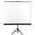 Avtek Tripod Standart 175 projection screen 1:1 | Techbox