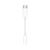 For iPhone/iPad accessories (MW2Q3ZM/A) USB-C to 3.5 mm Headphone Jack Adapter (Retail packaging) | Techbox