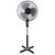 Esperanza EHF001KE household fan Black, Chrome