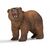 Schleich - Grizzly bear (14685) / Toys
