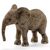 Schleich - Wild Life - African Elephant Calf (14763) / Toys