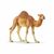 Schleich - Wild Life - Dromedary (14832) / Toys
