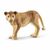 Schleich - Wild Life - Lioness (14825) / Toys