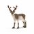 Schleich - Wild Life - Reindeer (14837) / Toys
