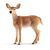 Schleich - Wild Life - White-Tailed Doe (14819) / Toys