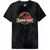 JURASSIC PARK - Logo classic stone wash - T-Shirt Men (S)
