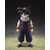 Dragon Ball Z S.H.Figuarts Action Figure Son Gohan (Z-Fighters) (Limited Edition Z-Fighters Group Base Ver. A) 11 cm