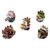 One Piece YuraColle Series Grand Line Collection Vol.3 Mini Figures 6 cm Blind Box Display (6)