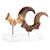 Jurassic Park ECC Elite Creature Line Statue Velociraptor Foot Claw and Fossil Claw Set 20 cm