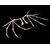 Mythic Legions: All Stars 6 Action Figure Accessorys Bone Wings