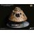 Apollo 11 Replica 1/20 Command Module (DX) 20 cm