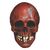 Mabry Monsters Mask Night Owl Skull Blood
