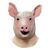 Spiral Mask Pig