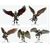 D&D Icons of the Realms Mini Figures Aarakocra Flock 20 cm
