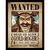 ONE PIECE LIVE ACTION - Gold Roger - Collector Print 30x40cm
