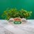 FRIENDS - Central Perk - Table Top Vase