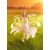 SPICE AND WOLF - Holo "Abundant Harvest" - Pop Up Parade L 23cm