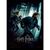 HARRY POTTER - Deathly Hollows Part 1 - Collector Print 30x40cm