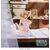 GODDESS OF VICTORY NIKKE - Anis - Figure Yumemirize 11cm