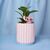 ANGEL - Planter with a Angel 3D Stitch + Faux Plant