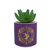 DISNEY - Aladdin - Faux Plant Pot 6.5cm (Purple)