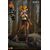 SENGOKU G SERIES - Takeda Shingen - Figure 1/12