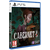 Cabernet / PlayStation 5