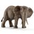 Schleich - African Elephant, Female (14761) / Toys