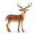 Schleich - Wild Life - White-Tailed Buck (14818) / Toys
