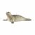 Schleich - Seal (14801) /