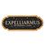 HARRY POTTER - Expelliarmus - Wall  Decoration