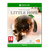 The Dark Pictures Anthology: Little Hope - Xbox One - Xbox One - Games - Namco Bandai - Narrative - Horror - Standard