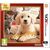 Nintendogs and Cats 3D: Golden Retriever (Select) - Nintendo 3DS - Nintendo 3DS - Games - Nintendo - Casual - Selects
