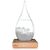 Storm Glass - Large Drop / Gadgets