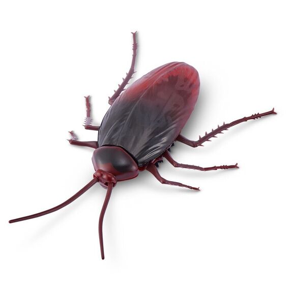 Robo Alive - Robotic - S2 Cockroach, Bulk (7152) / Toys