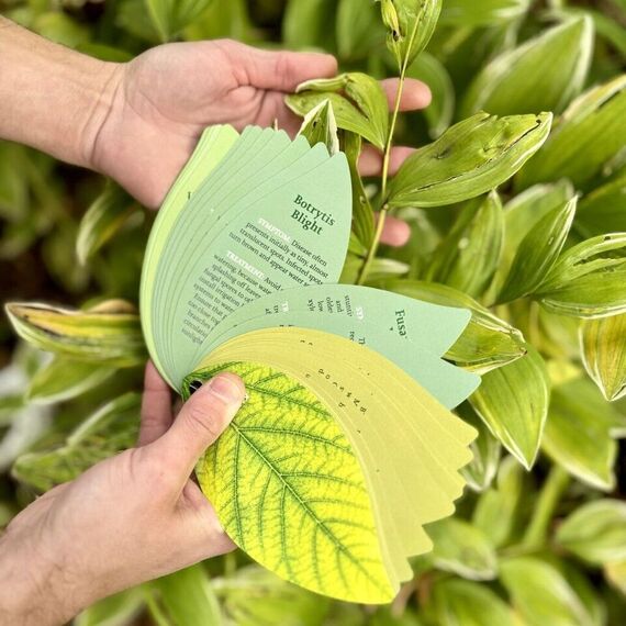 Healthy Plant Book / Gadgets - Αταξινόμητα -  - Techbox