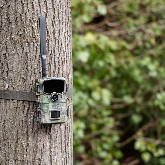 Rollei - Wildlife Camera 4G / Sport and Outdoor | Techbox