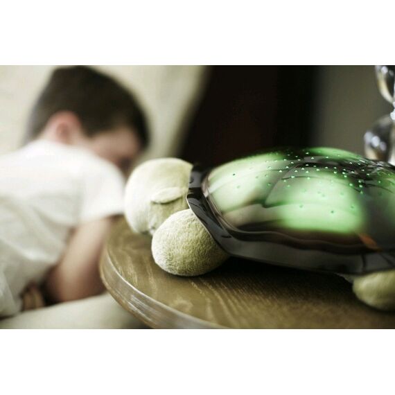 Cloud B - Twilight Turtle - Classic Mocha (CB7323-ZZ) / Toys