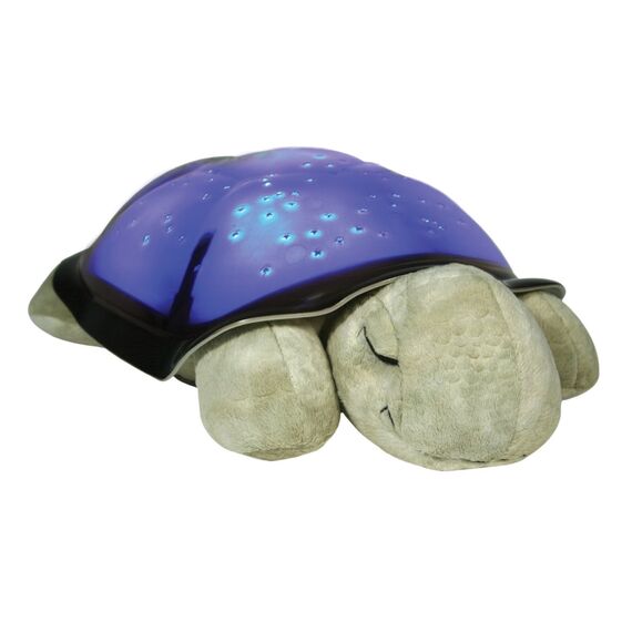 Cloud B - Twilight Turtle - Classic Mocha (CB7323-ZZ) / Toys