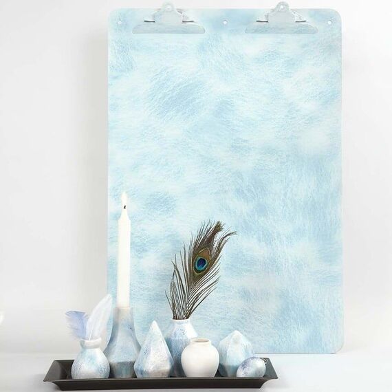 DIY Kit - Peacock feathers 10pc (51810) / Toys