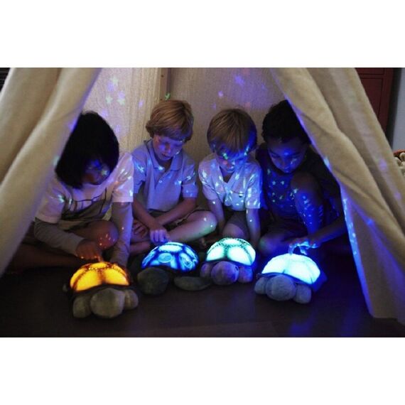 Cloud B - Twilight Turtle Light Blue (CB7323-bl) / Toys