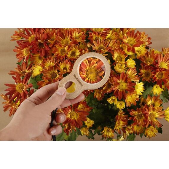 HUCKLEBERRY DUAL MAGNIFIER (HB04-F) / Gadgets - Αταξινόμητα -  - Techbox