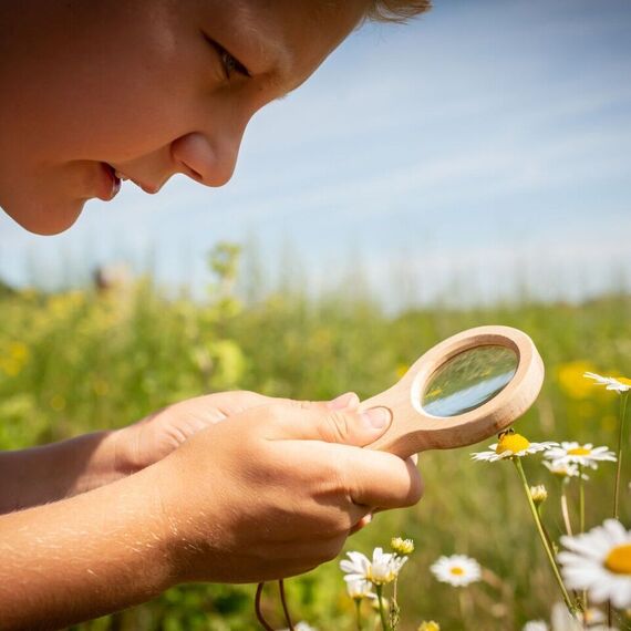 HUCKLEBERRY DUAL MAGNIFIER (HB04-F) / Gadgets - Αταξινόμητα -  - Techbox