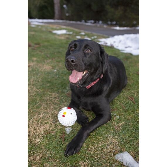 Chicken Dog Ball (DIG12) / Gadgets - Αταξινόμητα -  - Techbox